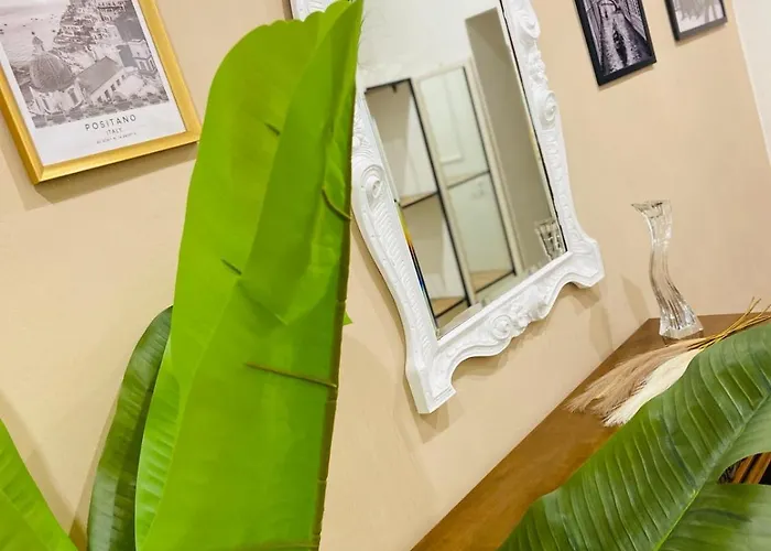 Viva La Vida Hospitality - 巴里